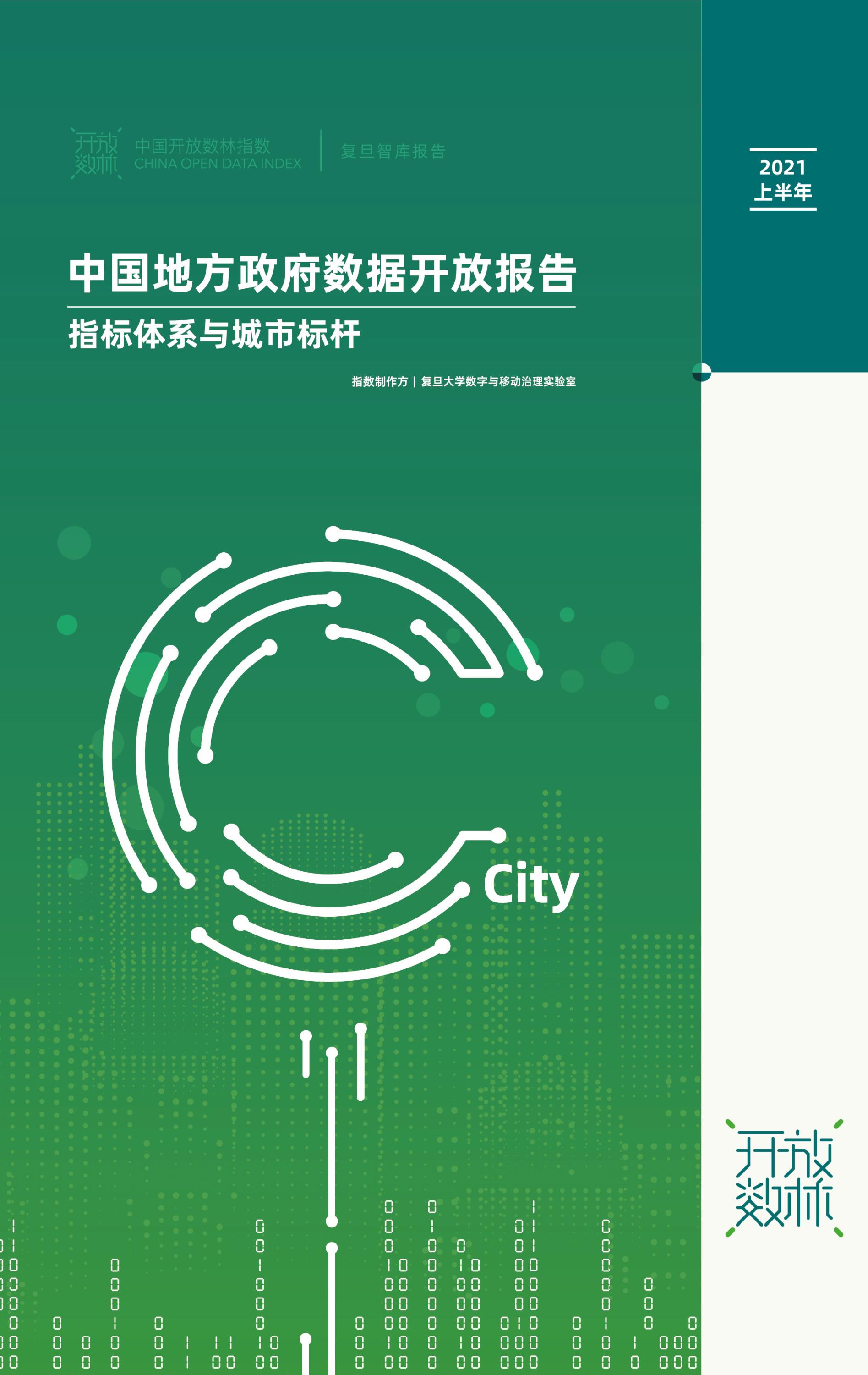 中國地方政府?dāng)?shù)據(jù)開放報(bào)告（指標(biāo)體系與城市標(biāo)桿）-1.jpg